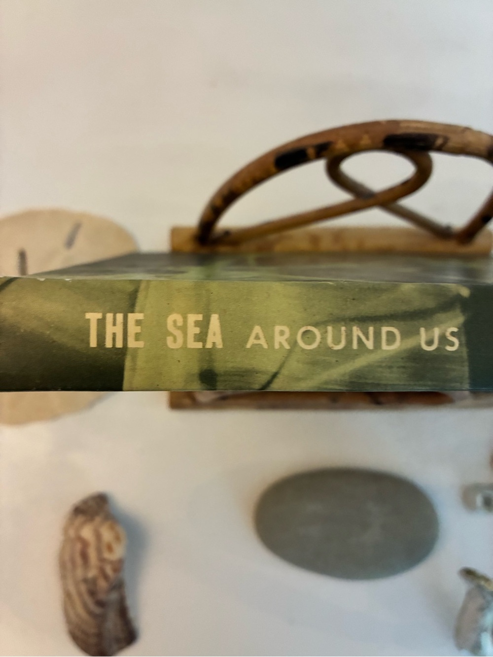 The Sea Around Us by Rachel Carson Hardcover 1951